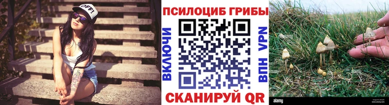 Галлюциногенные грибы мицелий Усинск